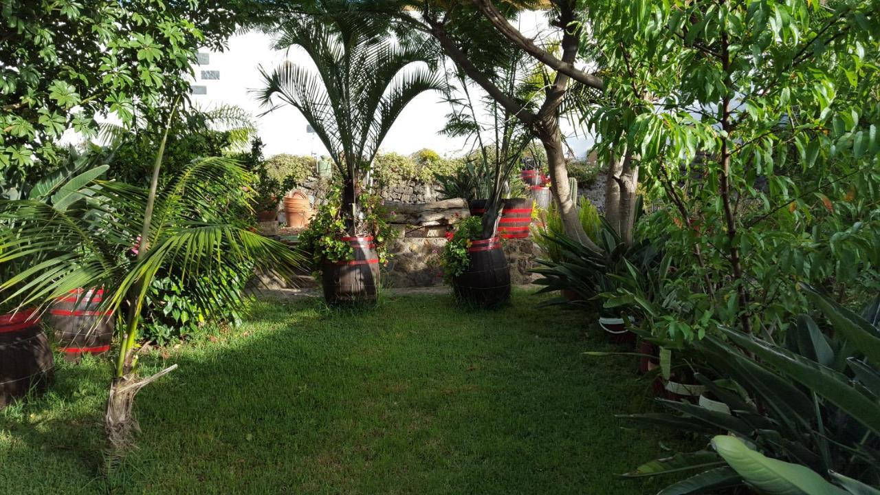 Finca Paraiso Casa Rural Tenerife Сан-Кристобаль-де-Ла-Лагуна Экстерьер фото