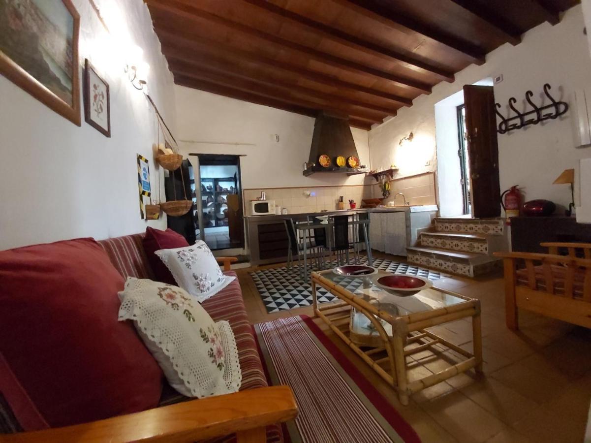 Finca Paraiso Casa Rural Tenerife Сан-Кристобаль-де-Ла-Лагуна Экстерьер фото